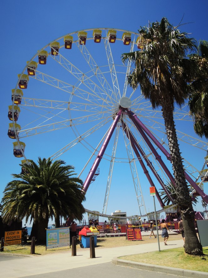 The Geelong Ferris Wheel